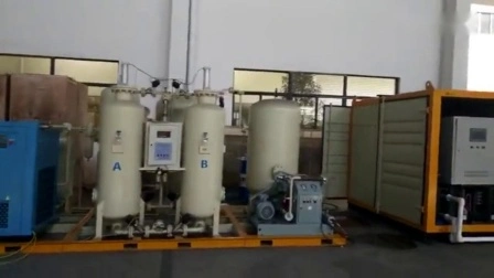 10 l pro Stunde kryogener PSA-Flüssigstickstoffgenerator Ln2-Generator Asu